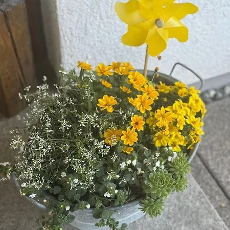 Bodenseeglück - Dein Rückzugsort Am Bodensee *